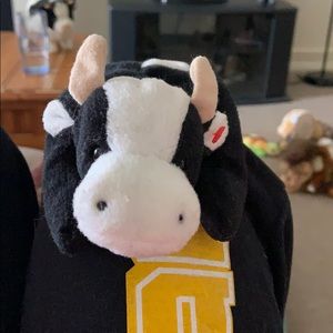 Daisy the cow beanie baby